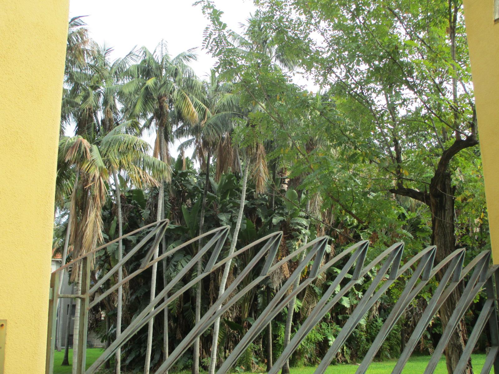 Palm park Sicily